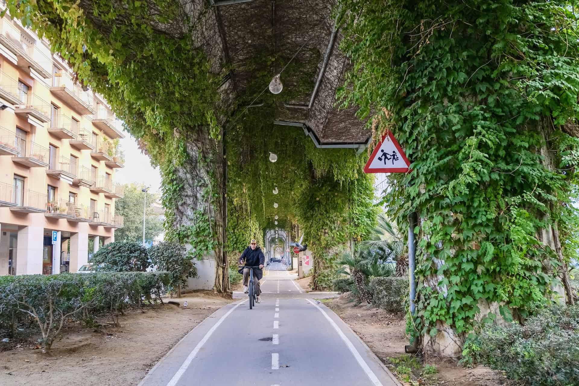 Exploring Your City: Hidden Gems Accessible by Bike